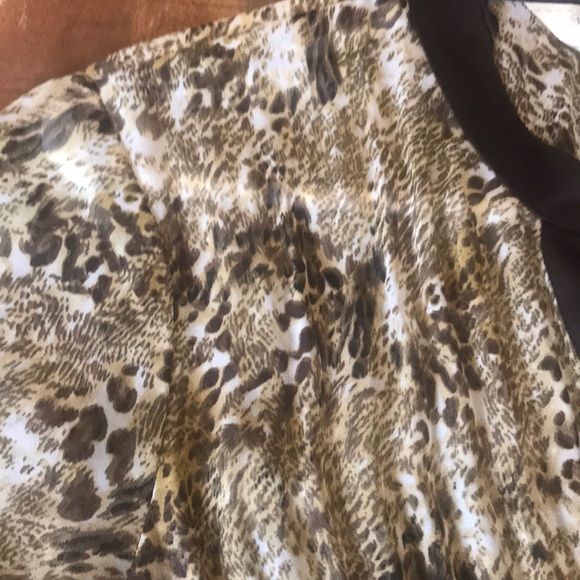 Sheer shirt - Picture 5 of 5